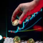 crypto trading tips for beginners